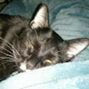 Meet your Posher, Samantha